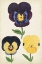 Picture of ANTIQUE PANSIES I