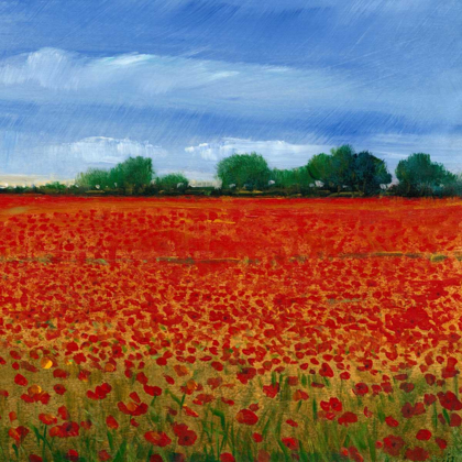 Picture of FIELD OF POPPIES II