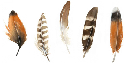 Picture of RED ROCK FEATHERS I