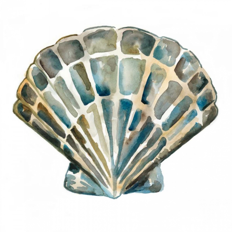 Picture of AQUARELLE SHELLS IV