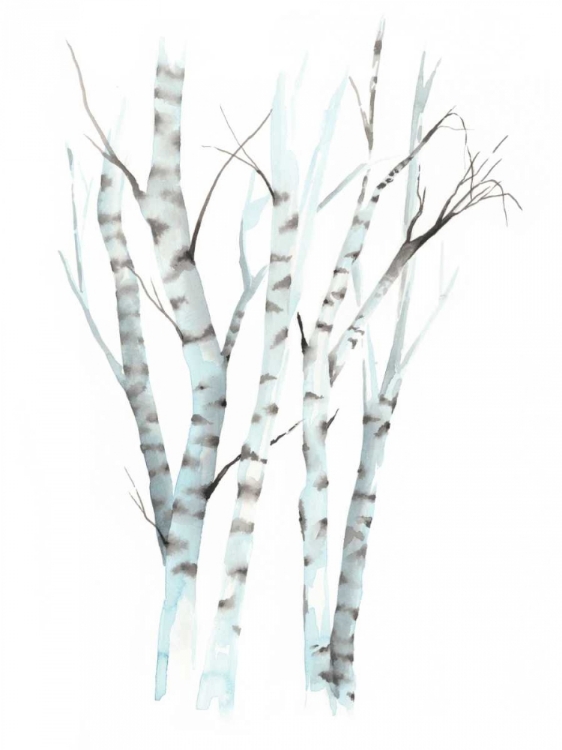 Picture of AQUARELLE BIRCHES II