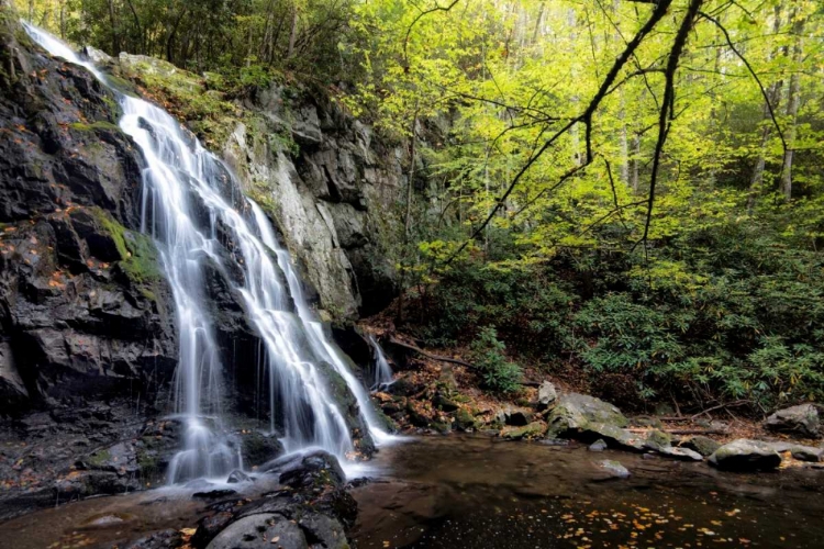 Picture of SPRUCE FLAT FALLS AT MORNING