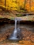 Picture of BLUE HEN FALLS