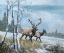 Picture of ELK JOURNEY IV