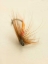 Picture of MACRO LURE V