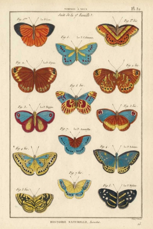 Picture of HISTOIRE NATURELLE BUTTERFLIES I