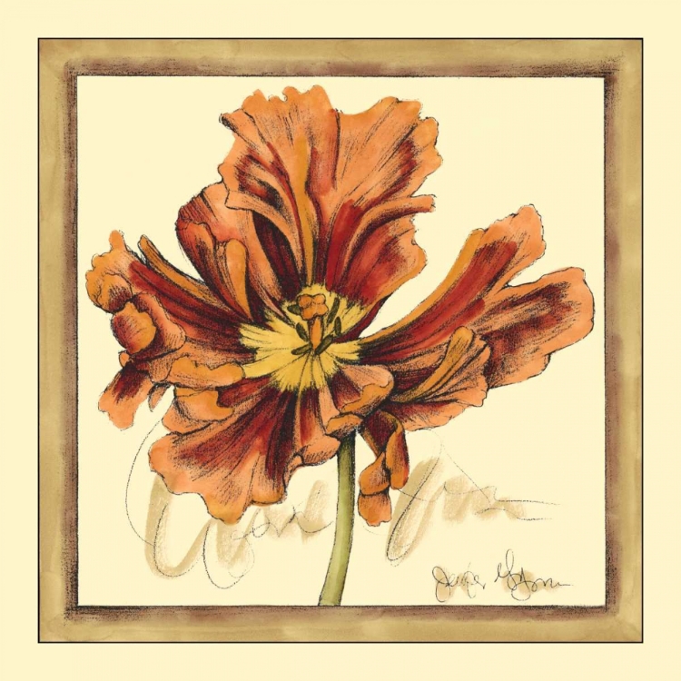 Picture of TULIP STUDY III