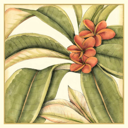 Picture of TROPICAL BLOOMS AND FOLIAGE I