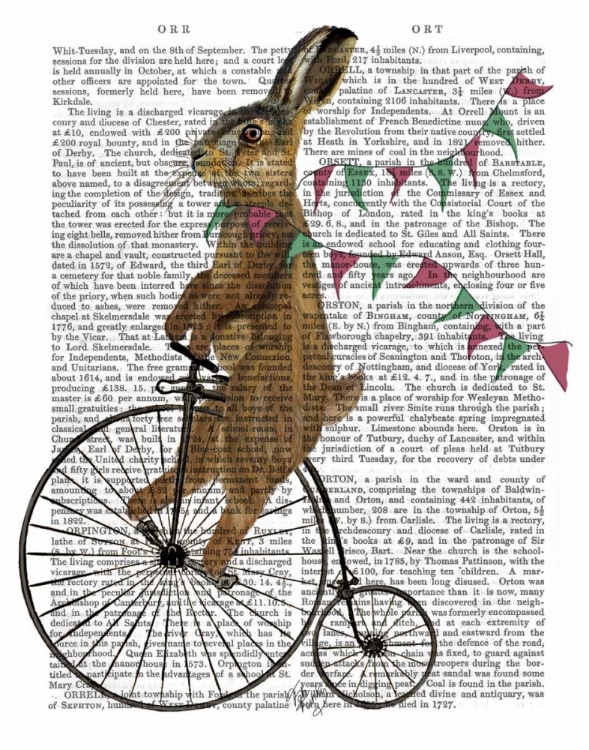 Picture of RABBIT ON PENNY FARTHING