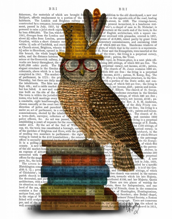 Picture of OWL ON BOOKS