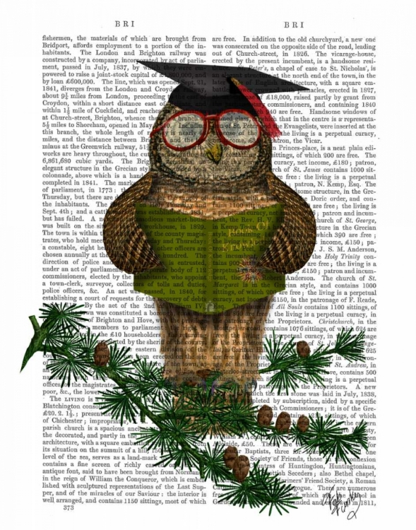 Picture of OWL READING ON BRANCH