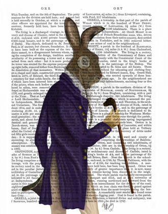 Picture of HARE IN PURPLE COAT