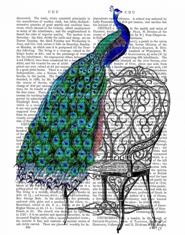 Picture of PEACOCK ON CHAIR