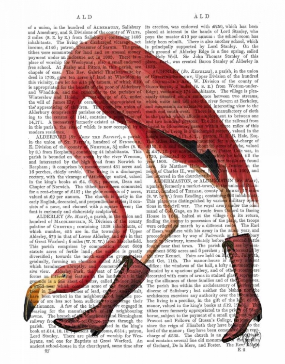 Picture of FLAMINGO IN PINK BOOTS