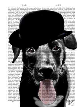 Picture of BLACK LABRADOR IN BOWLER HAT