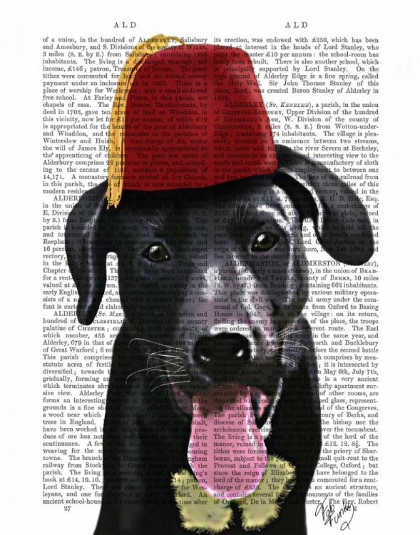 Picture of BLACK LABRADOR WITH FEZ
