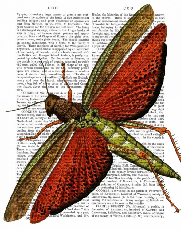 Picture of VINTAGE GRASSHOPPER