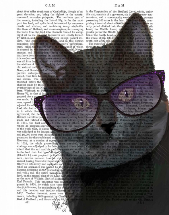 Picture of BLACK CAT WITH SUNGLASSES