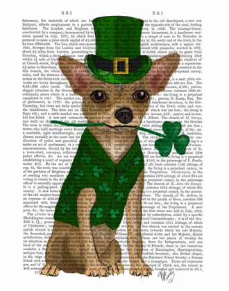 Picture of CHIHUAHUA LEPRECHAUN