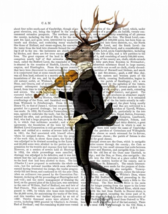 Picture of DANCING DEER WITH VIOLIN