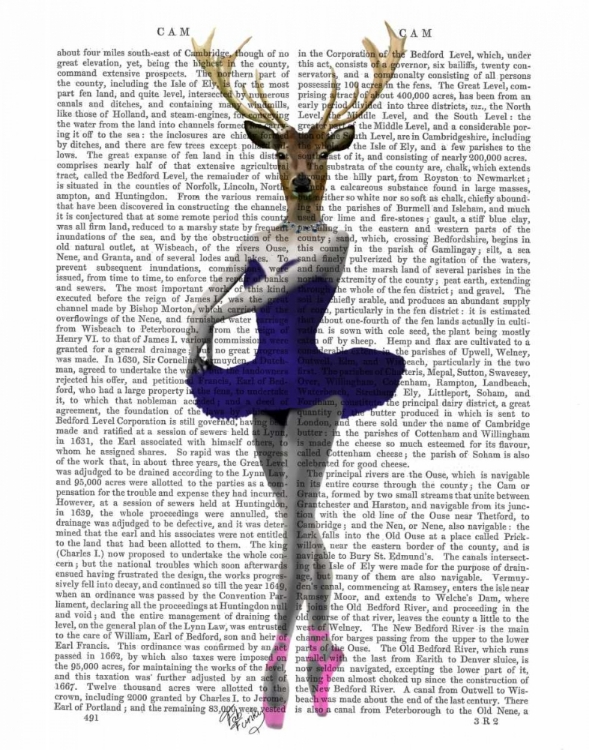 Picture of BALLET DEER IN BLUE