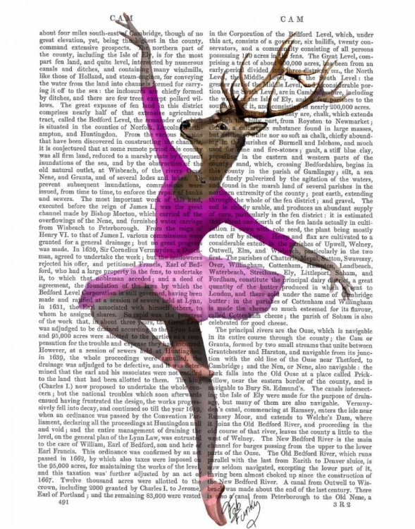 Picture of BALLET DEER IN PINK