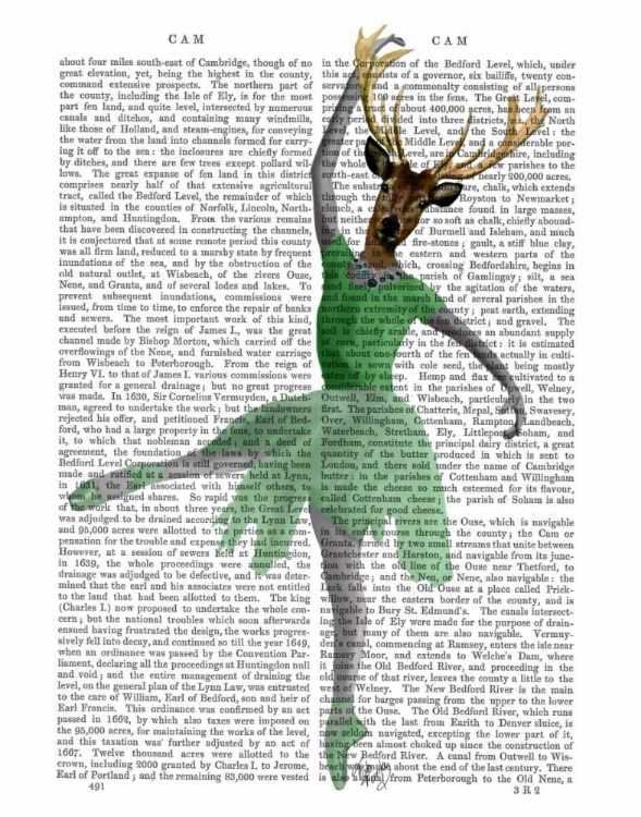 Picture of BALLET DEER IN GREEN