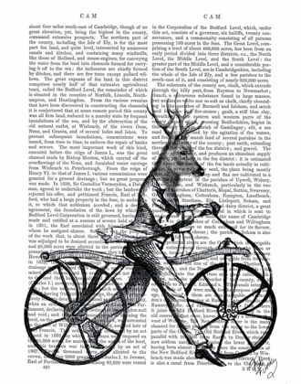 Picture of DANDY DEER ON VINTAGE BICYCLE