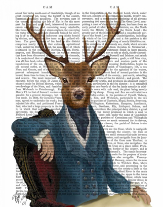 Picture of DISTINGUISHED DEER PORTRAIT