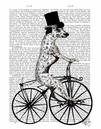 Picture of DALMATIAN ON BICYCLE