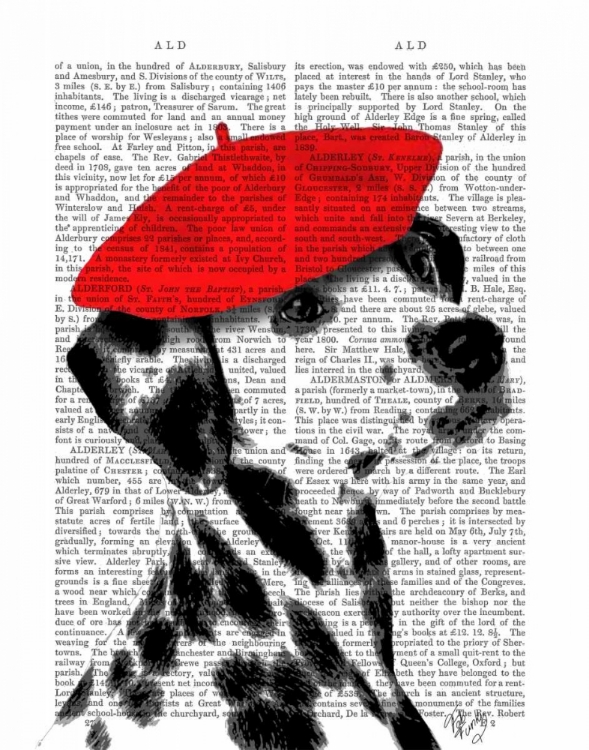 Picture of DALMATIAN WITH RED BERET