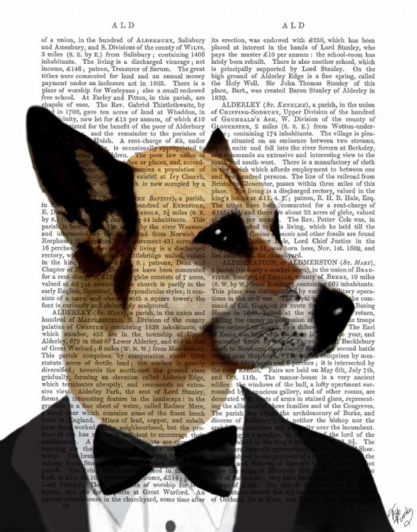 Picture of DEBONAIR JAMES BOND DOG