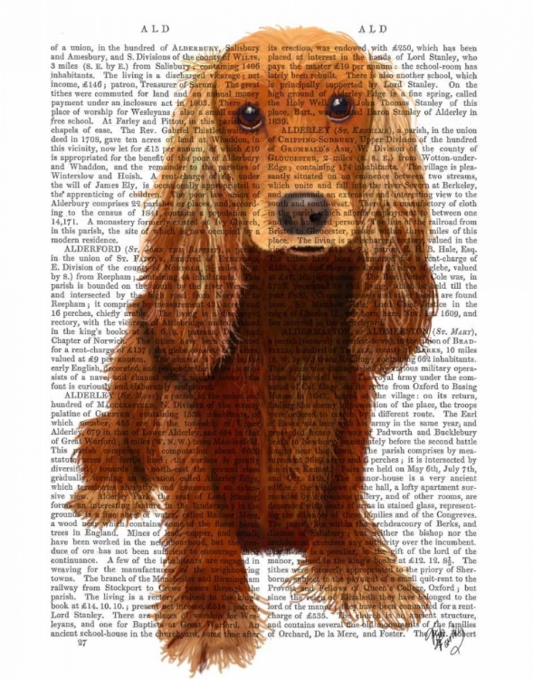 Picture of COCKER SPANIEL PLAIN