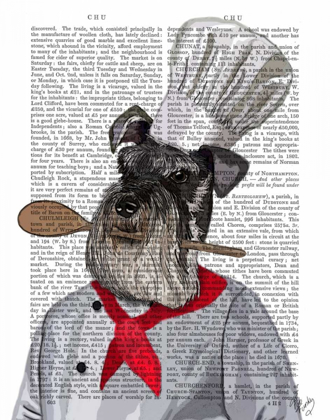 Picture of SCHNAUZER CHEF