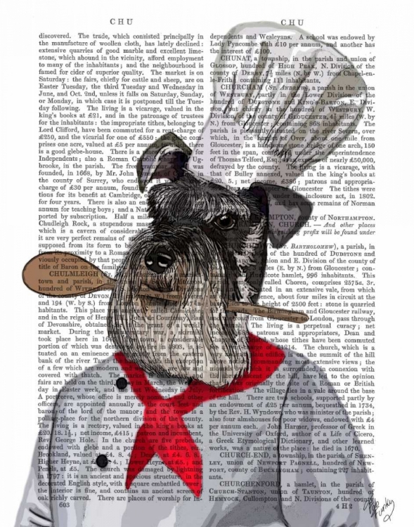 Picture of SCHNAUZER CHEF