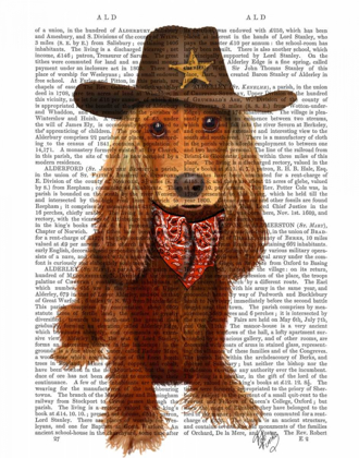 Picture of COCKER SPANIEL COWBOY