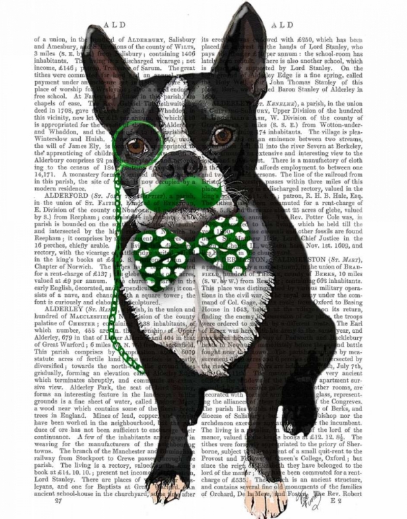 Picture of BOSTON TERRIER WITH GREEN MOUSTACHE AND SPOTTY GREEN BOW TIE