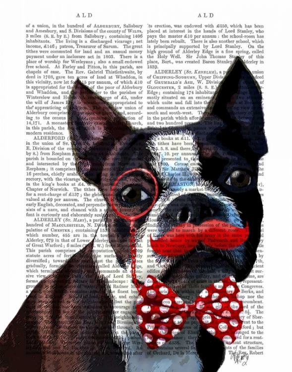 Picture of BOSTON TERRIER PORTRAIT WITH RED BOW TIE AND MOUSTACHE