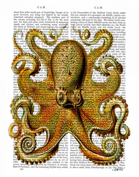 Picture of VINTAGE YELLOW OCTOPUS FRONT