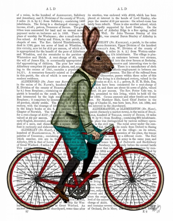 Picture of RABBIT ON BIKE