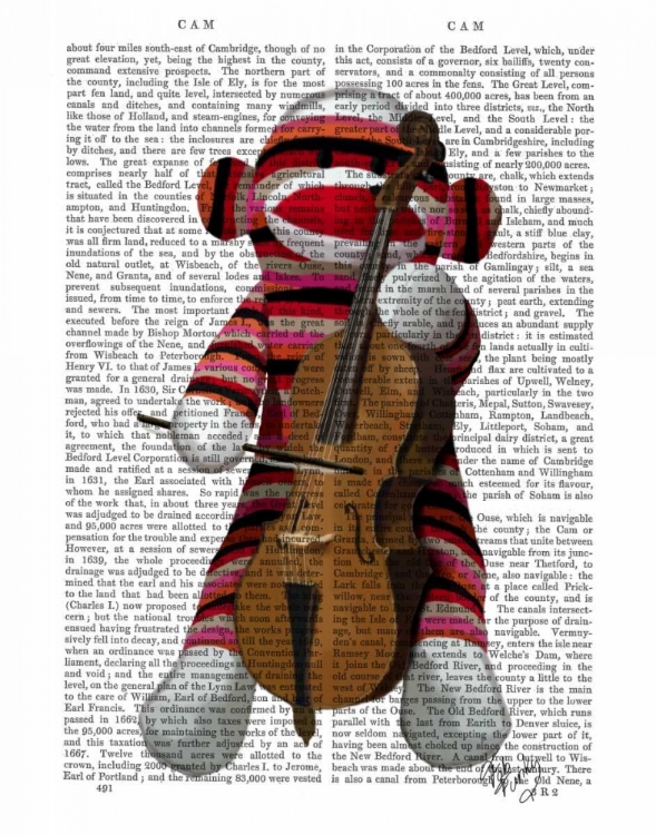 Picture of SOCK MONKEY AND CELLO