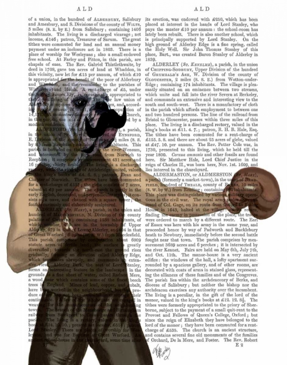 Picture of BOXING BULLDOG PORTRAIT