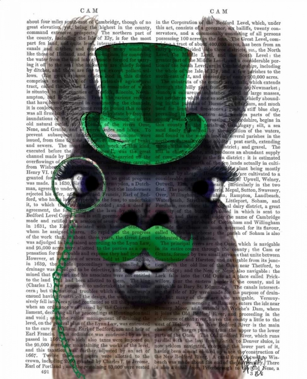 Picture of LLAMA WITH GREEN TOP HAT AND MOUSTACHE