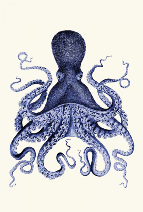 Picture of BLUE OCTOPUS 3