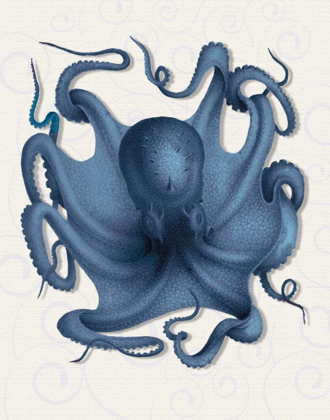 Picture of OCTOPUS 5