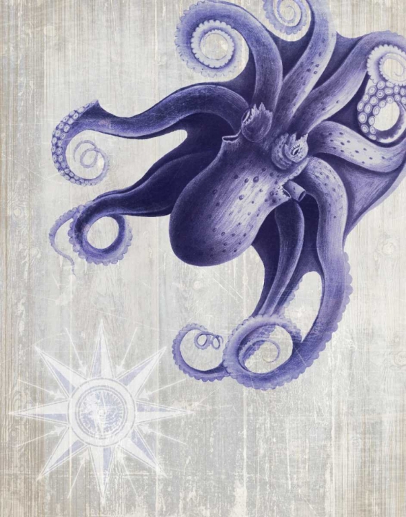 Picture of OCTOPUS 7