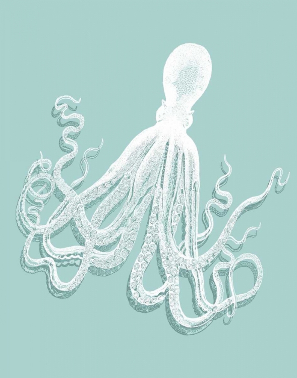 Picture of OCTOPUS 1 WHITE ON SEAFOAM