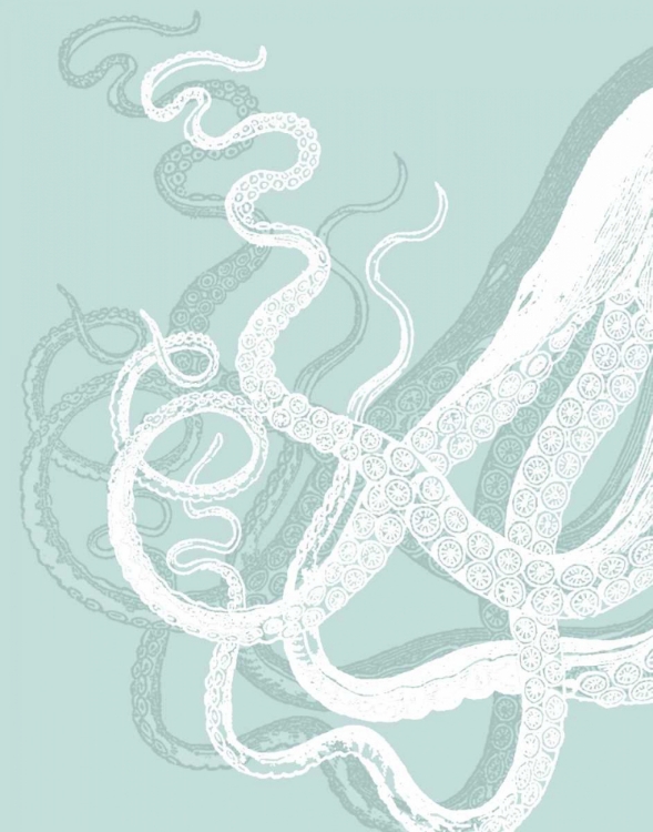 Picture of OCTOPUS TENTACLES WHITE ON SEAFOAM