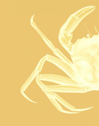 Picture of CONTRASTING CRAB IN MUSTARD A