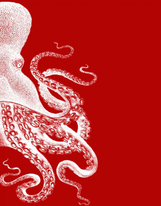 Picture of OCTOPUS RED AND WHITE B